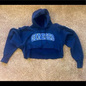 Vintage GENESEO embroidered cropped hoodie.